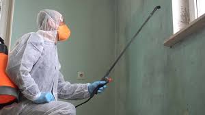 Mold Remediation for Rental Properties in Winchester, MO